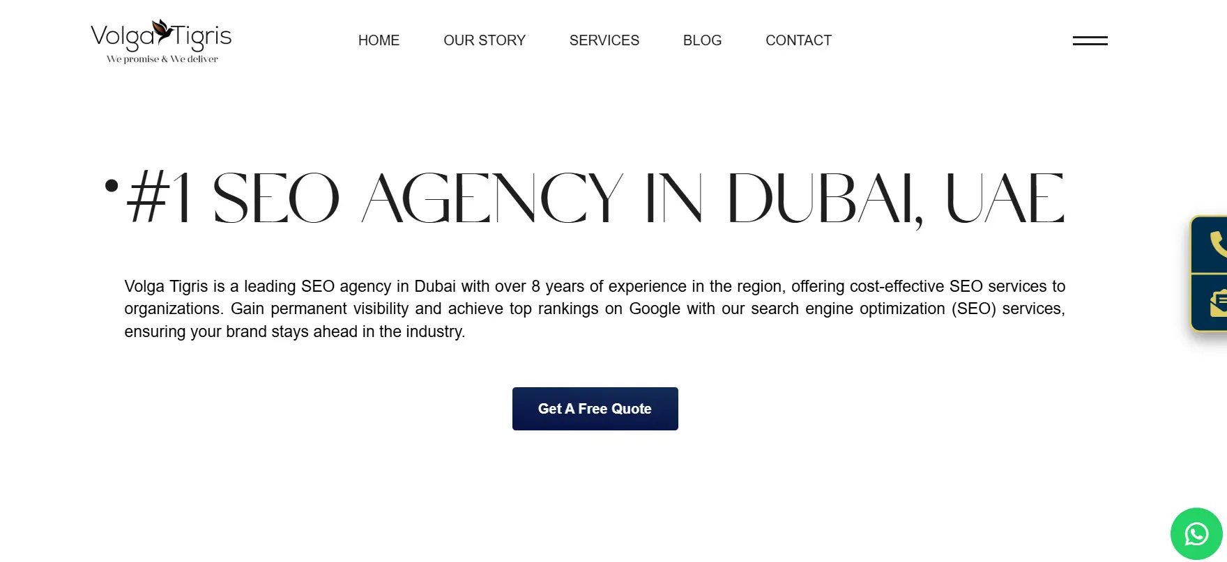 Volga Tigris Seo agency in dubai