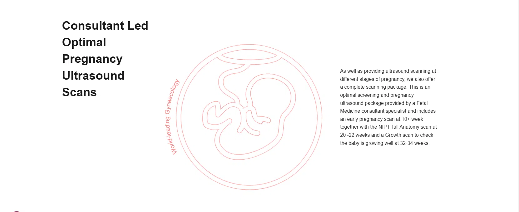 image-2025-02-10T162045.121.png