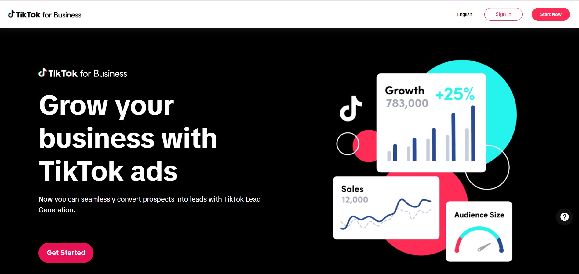 TikTok Ads Platform
