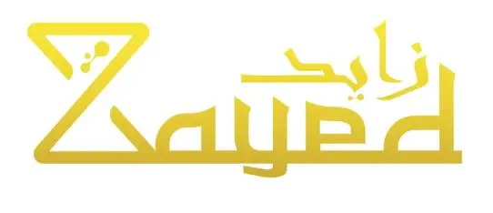 zayed digital marketing Original Logo
